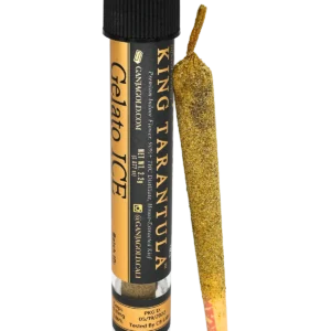 Buy Ganja Gold King Tarantula UK